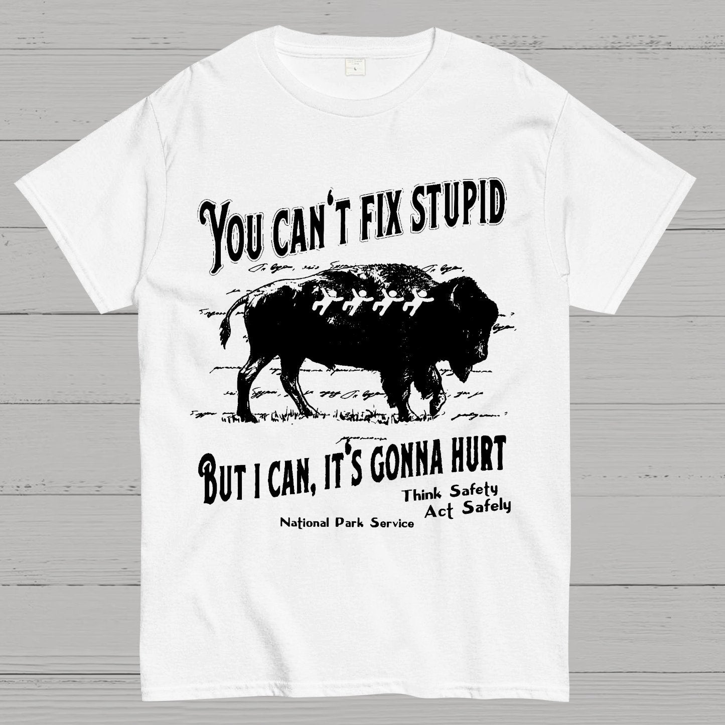 You Cant Fix Stupid Geek T-Shirt