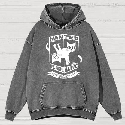 Schrödinger's Cat Mathe, Physics Vintage Distressed Hoodie