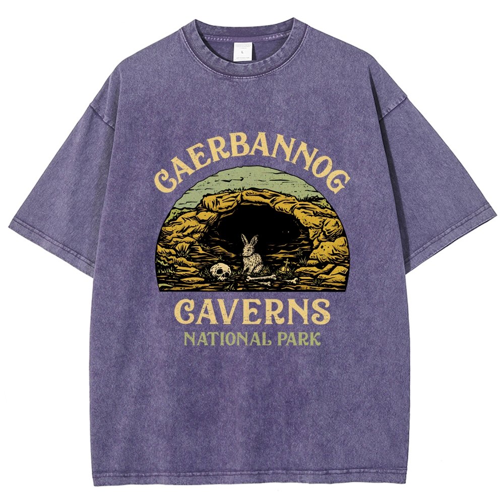 Mystic Caverns National Park Vintage Distressed T-shirt