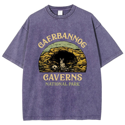 Mystic Caverns National Park Vintage Distressed T-shirt
