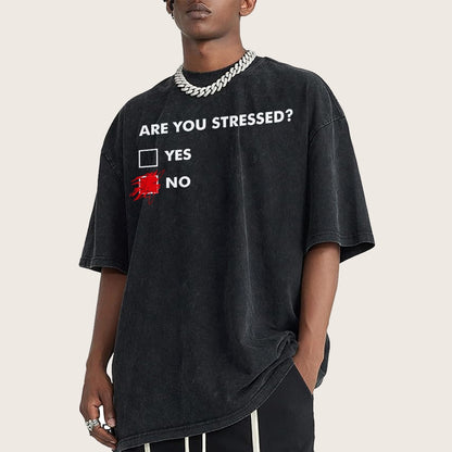 Fuuny Word Are You Stressed No Vintage Distressed T-shirt