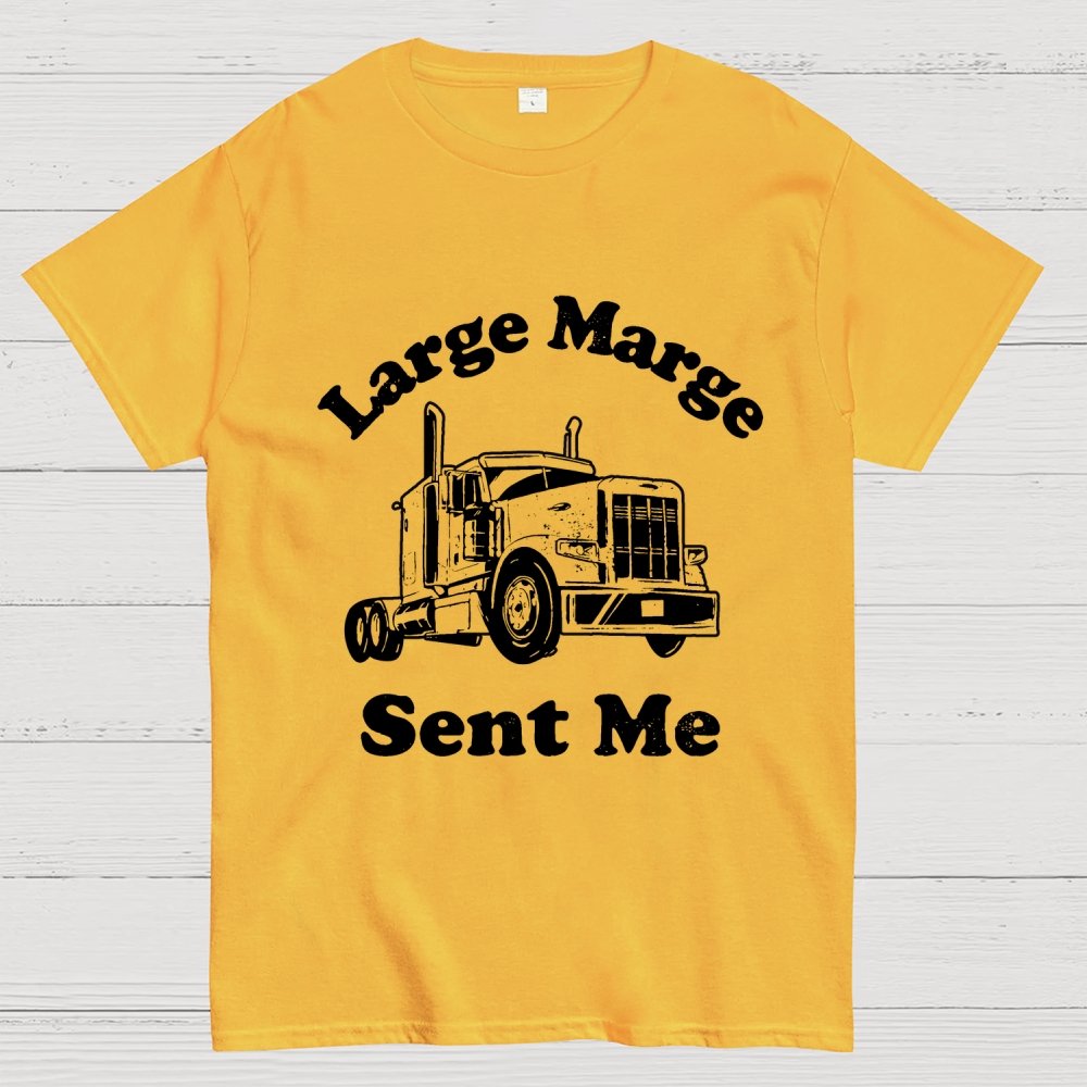 Mysterious Lady Sent Me Geek T-Shirt
