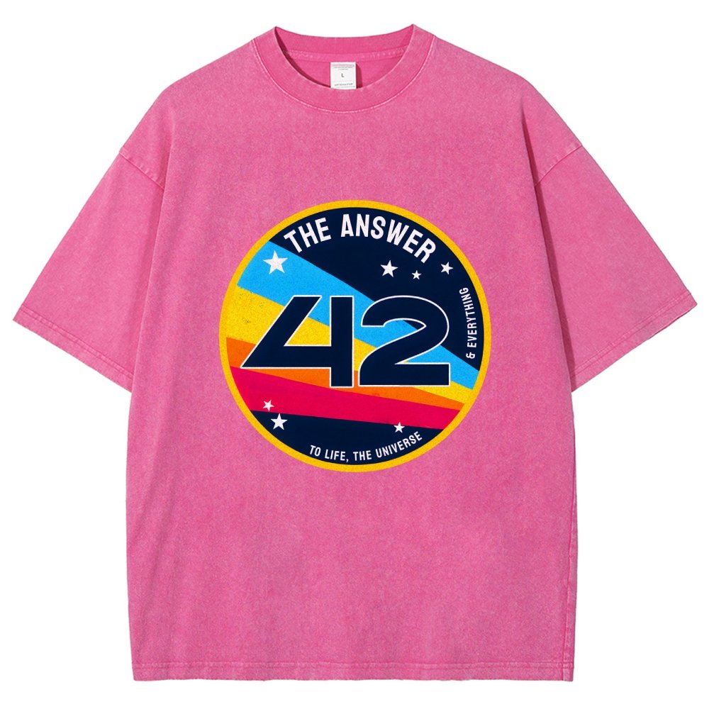 The Answer is 42 Vintage Distressed T-shirt
