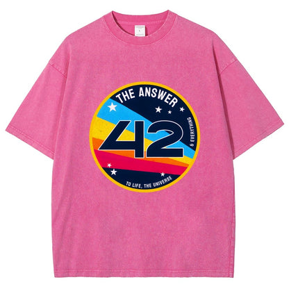 The Answer is 42 Vintage Distressed T-shirt