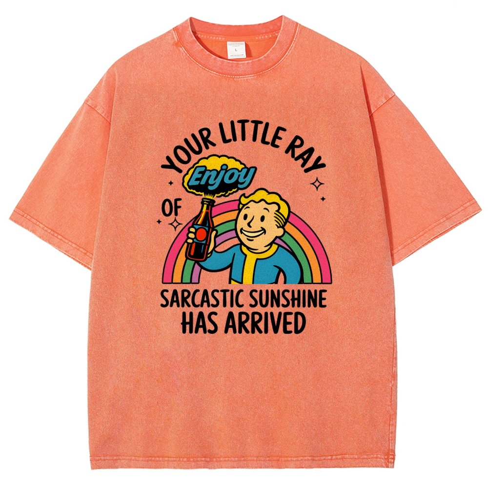 Your Little Ray of Sarcastic Sunshine Has Arrived Vintage Distressed T-shirt
