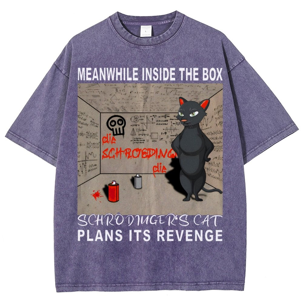 Inside The Box：Schrödingers Cat Plans Its Revenge Vintage Distressed T-shirt