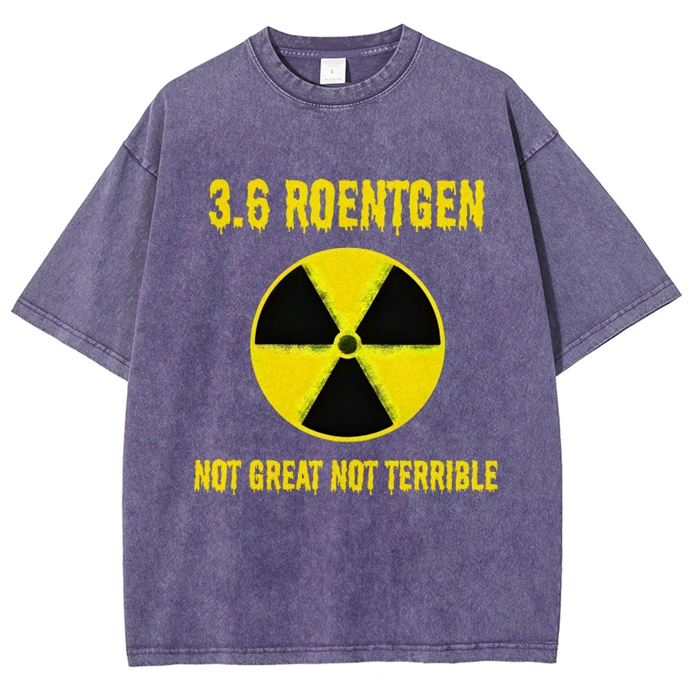 3.6 Roentgen Not Great Not Terrible Vintage Distressed T-shirt