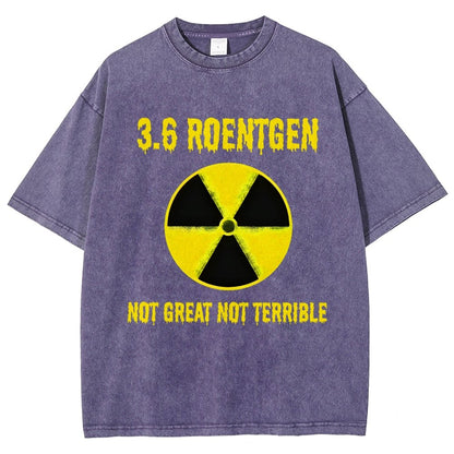 3.6 Roentgen Not Great Not Terrible Vintage Distressed T-shirt