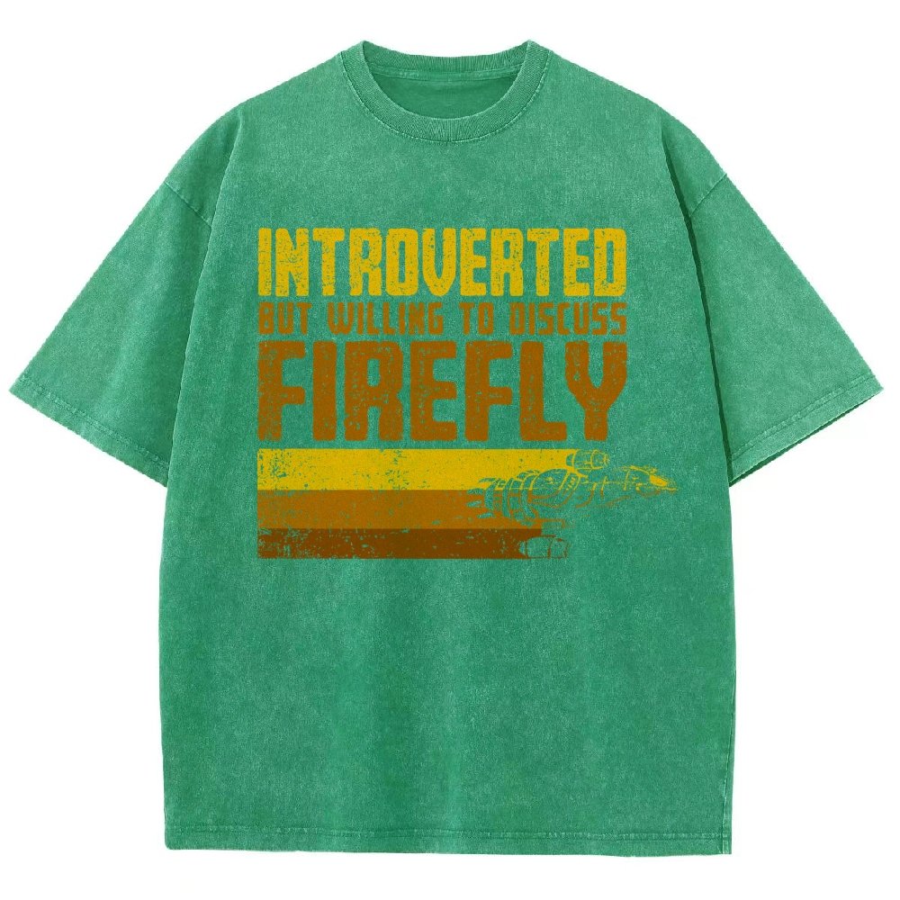 Introverted Wanderer Vintage Distressed T-shirt