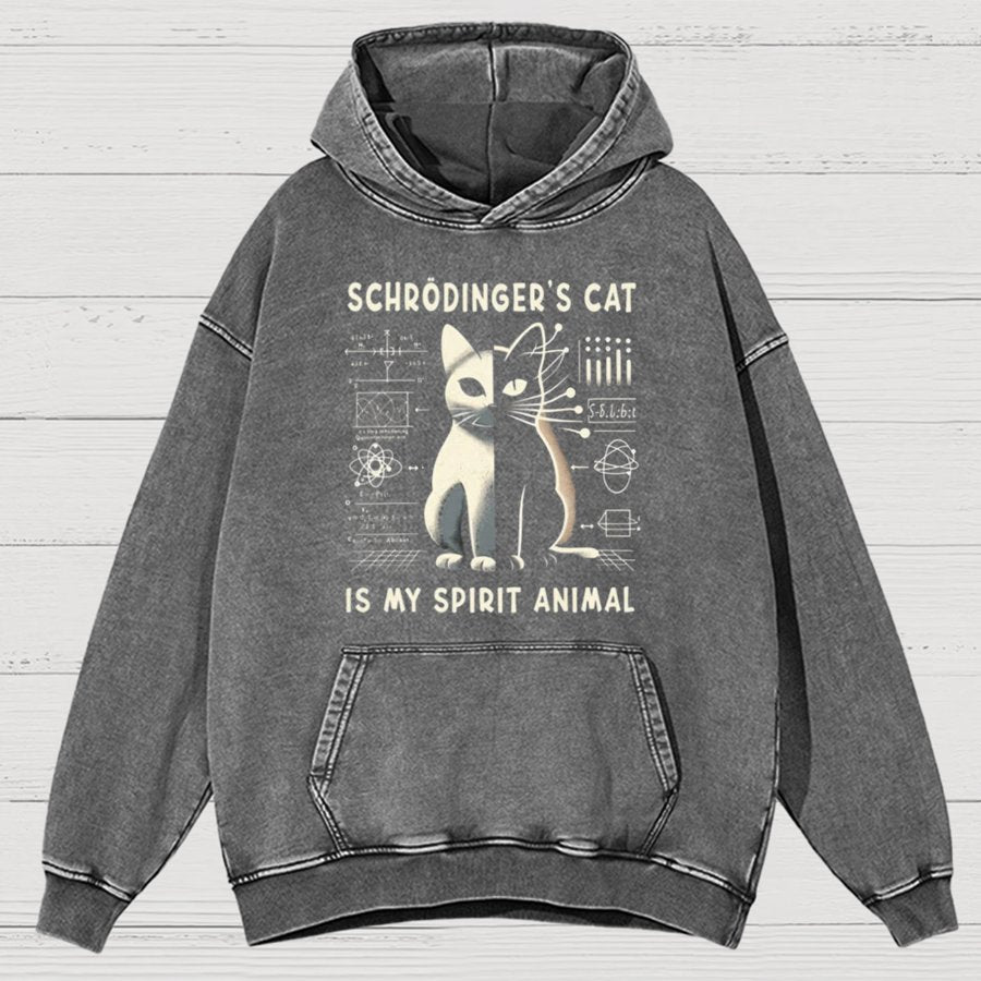 Schrodinger's Сat Science Cotton Vintage Distressed Hoodie