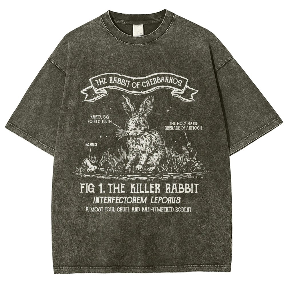 The Rabbit of Mysterious Place Vintage Distressed T-shirt