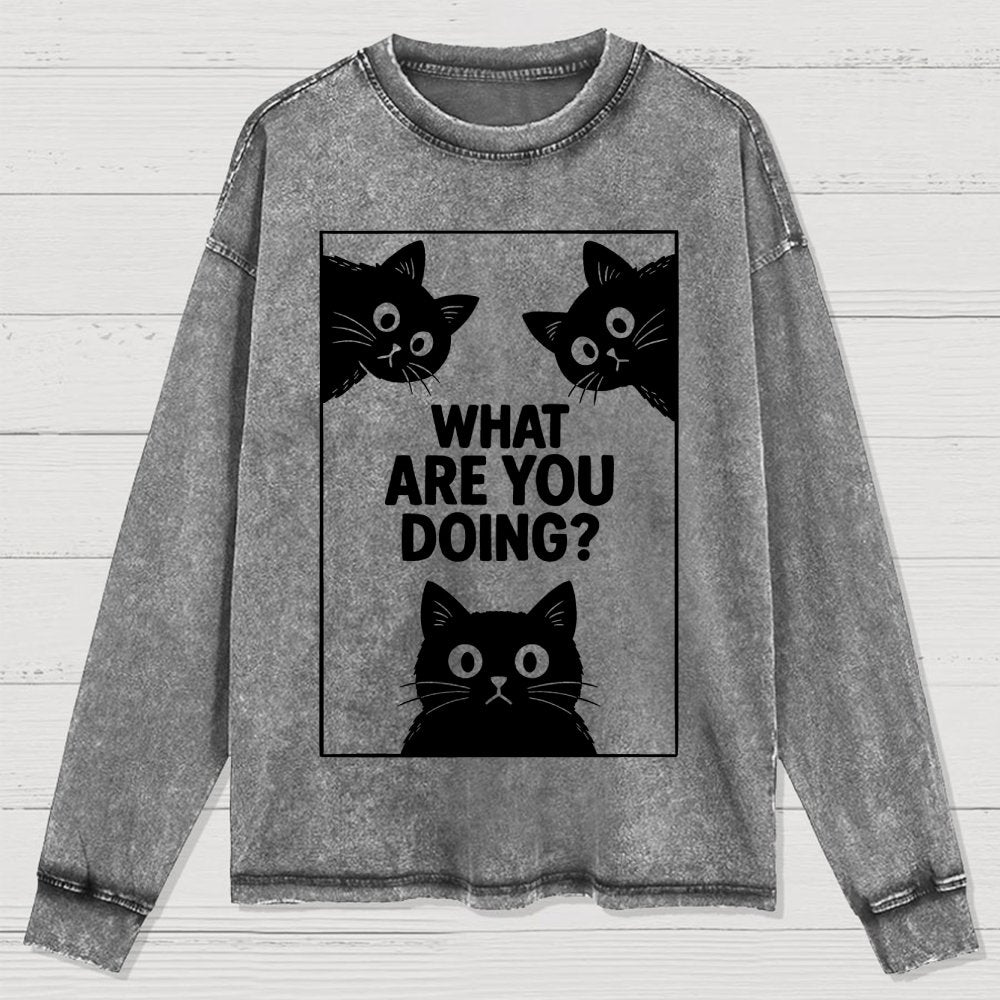 What Are You Doing Washed Long Sleeve Tee