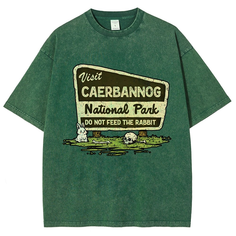 Mystic Valley National Park Vintage Distressed T-shirt