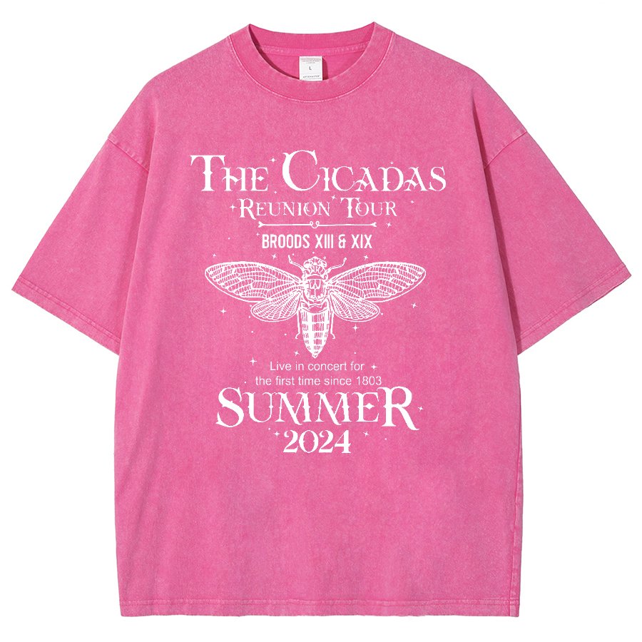 The Cicada Reunion U.S Tour 2024 Cicada Vintage Distressed T-shirt