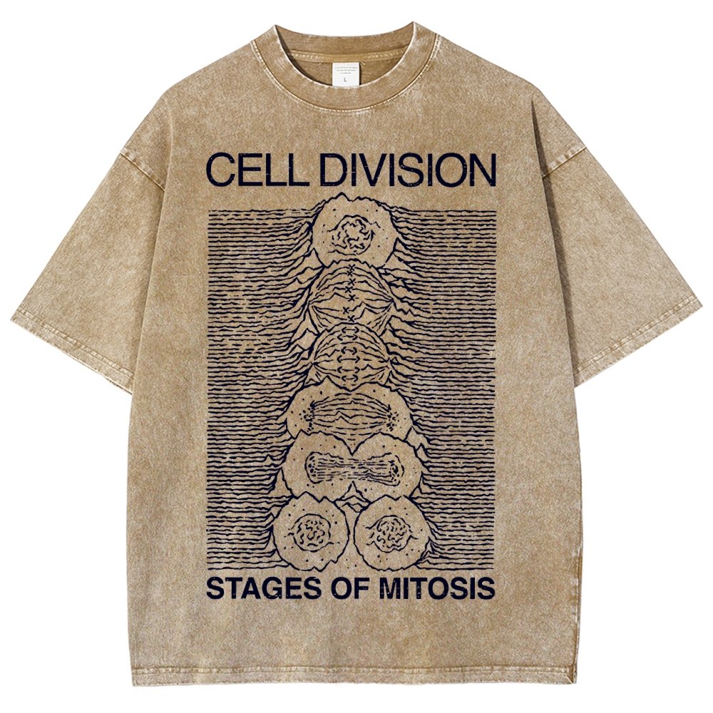 Cell Division- Stages of Mitosis Vintage Distressed T-shirt