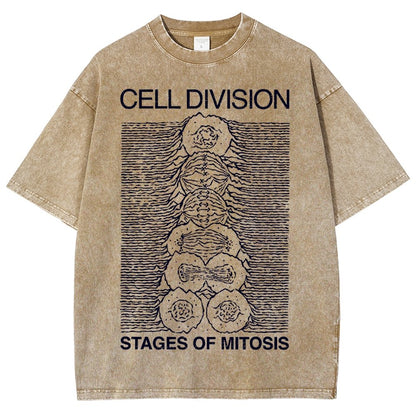 Cell Division- Stages of Mitosis Vintage Distressed T-shirt