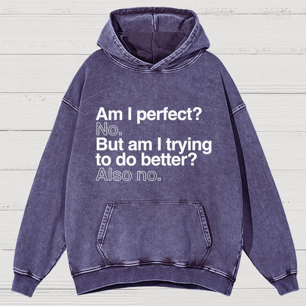Am I Perfect No Vintage Distressed Hoodie