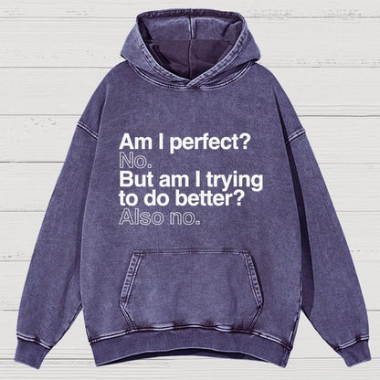 Am I Perfect No Vintage Distressed Hoodie