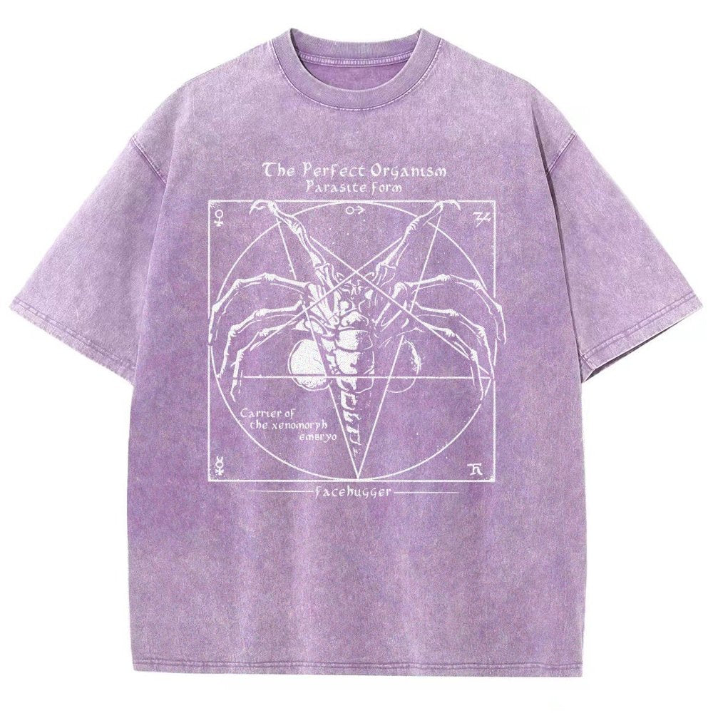 Mystery Pentagram Vintage Distressed T-shirt