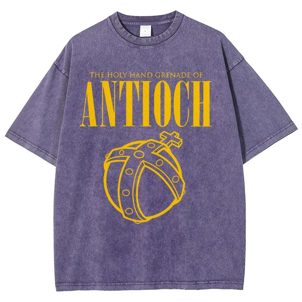 The Holy Hand Grenade of an Ancient Place Vintage Distressed T-shirt