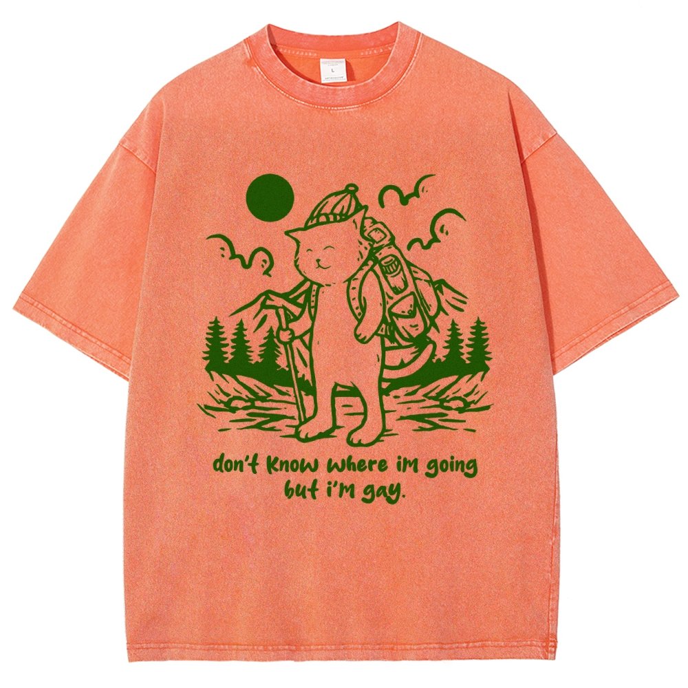 Don't Know Where I'm Going But I'm Gay Vintage Distressed T-shirt