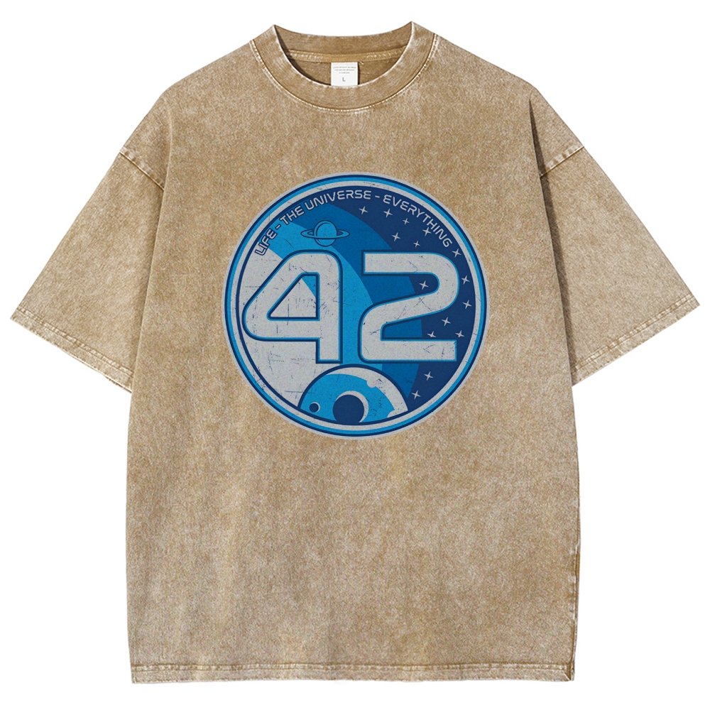 42- The Answer Vintage Distressed T-shirt