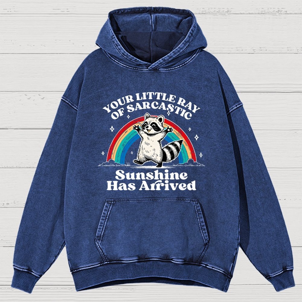 Your Little Ray of Sarcastic Sunshine Has Arrived Vintage Distressed Hoodie