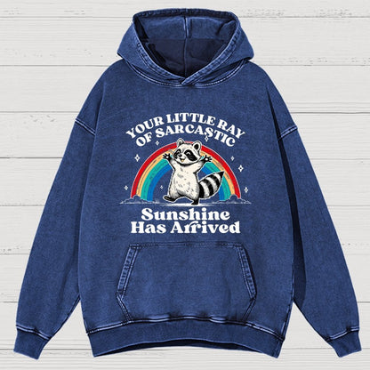Your Little Ray of Sarcastic Sunshine Has Arrived Vintage Distressed Hoodie