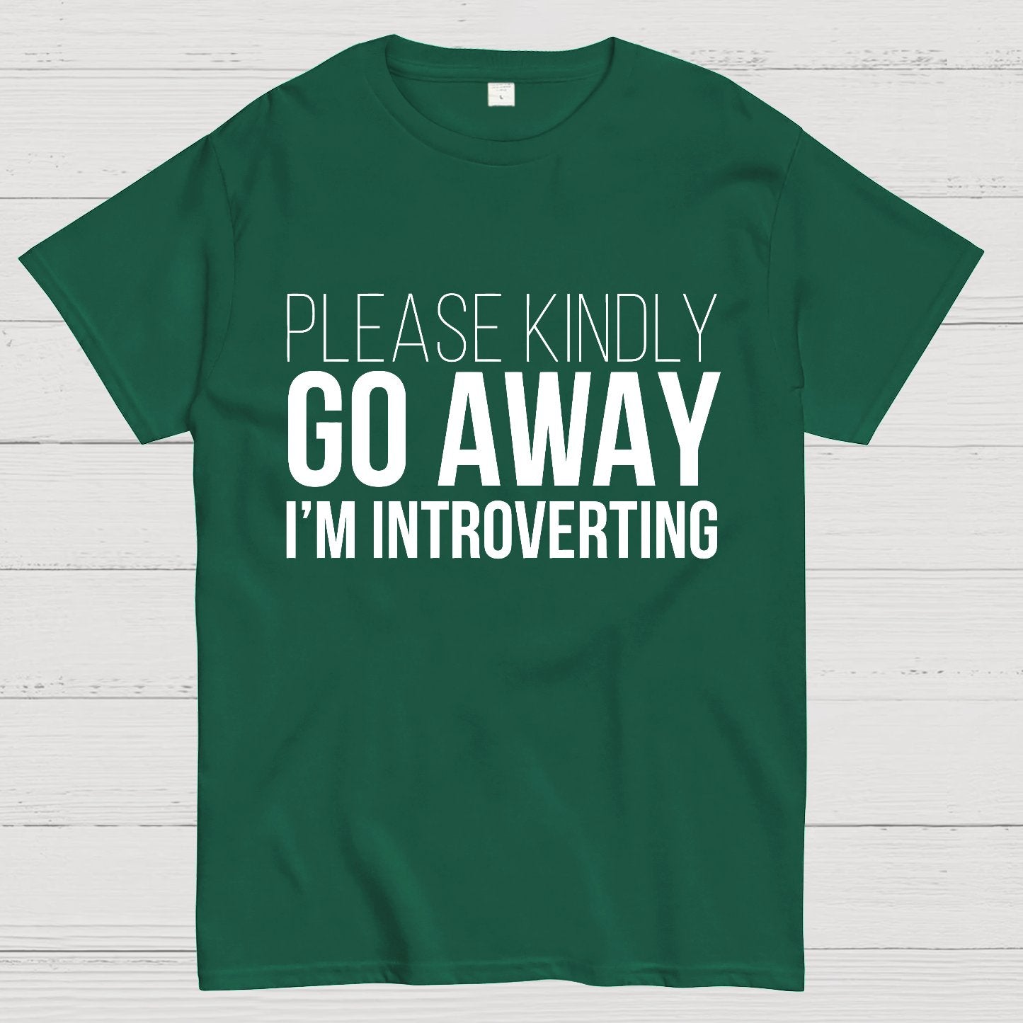 Please Kindly Go Away - I'm Introverting Geek T-Shirt