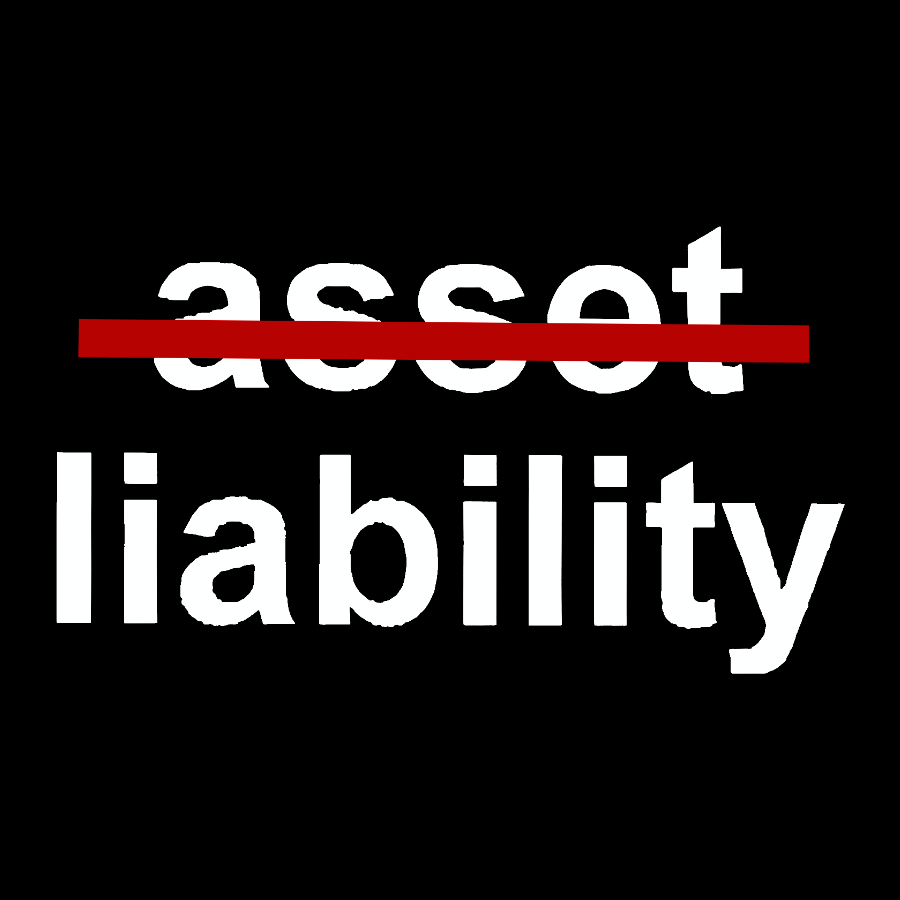 Asset Liability Geek T-Shirt