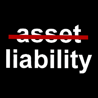 Asset Liability Geek T-Shirt