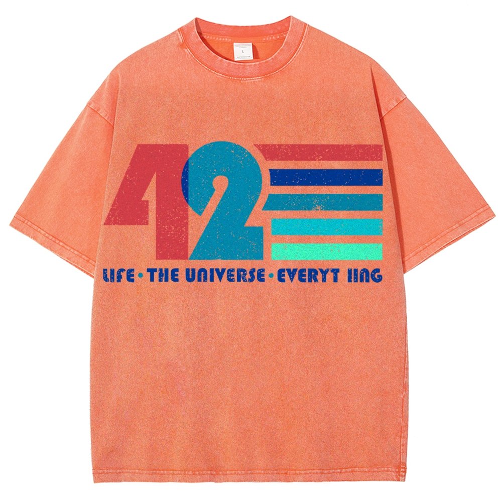 The Answer Is 42 Vintage Distressed T-shirt