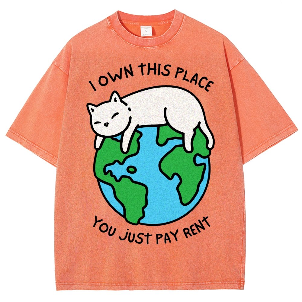 I Own This Place Vintage Distressed T-shirt