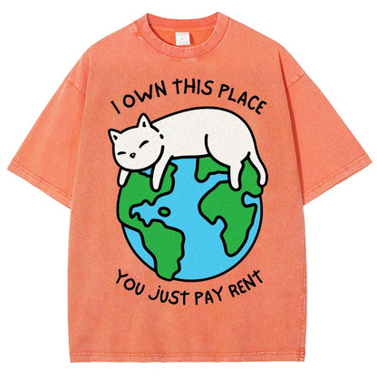 I Own This Place Vintage Distressed T-shirt