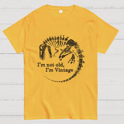 I'm Not Old I'm Vintage Geek T-Shirt