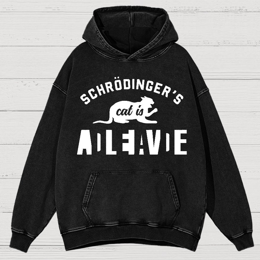 Schrodinger's Cat Vintage Distressed Hoodie