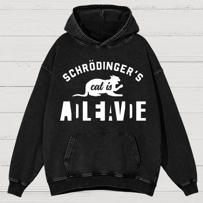 Schrodinger's Cat Vintage Distressed Hoodie