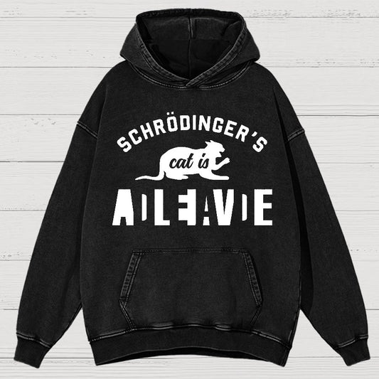 Schrodinger's Cat Vintage Distressed Hoodie