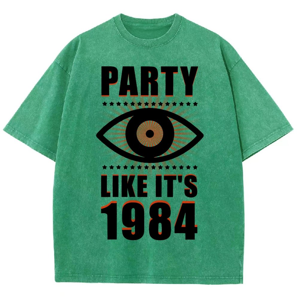 Big Brother is Watching You Party Vintage Distressed T-shirt