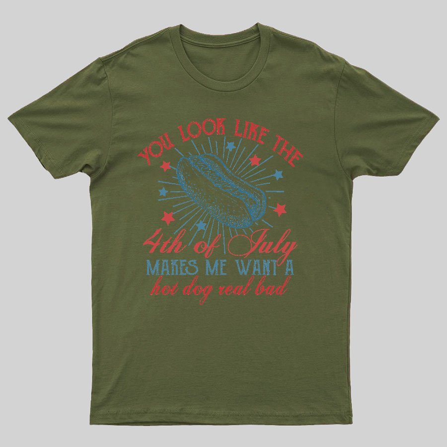 You Look Like the 4th of July Geeky T-Shirt