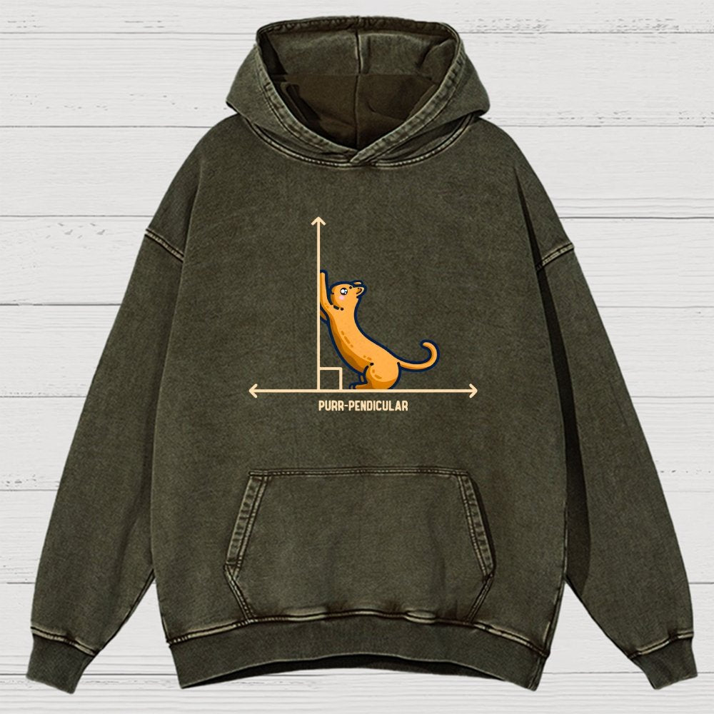 Purr-Pendicular Cute Maths Cat Premium Vintage Distressed Hoodie