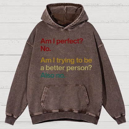 Am I Perfect ？No.Vintage Distressed Hoodie
