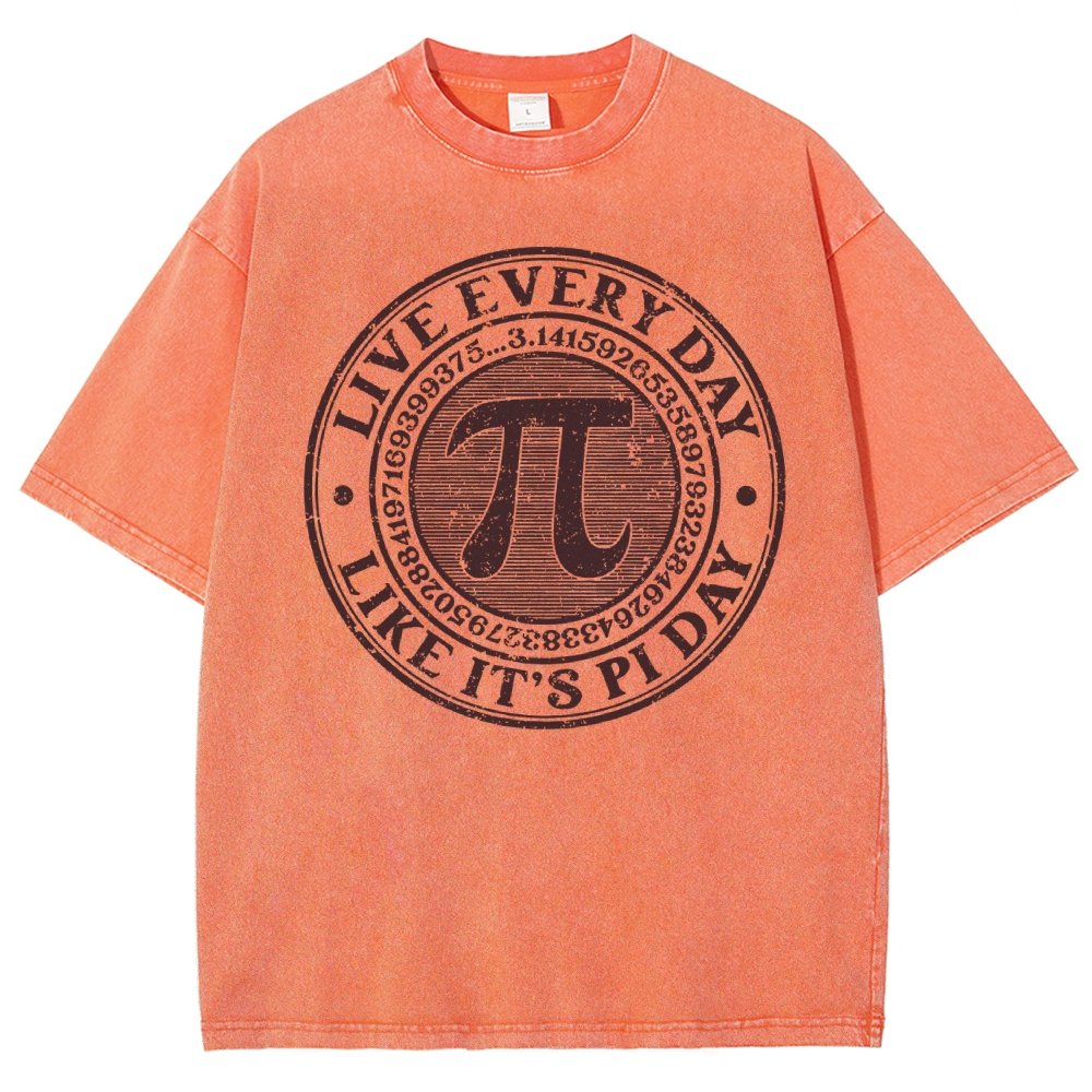 Vintage Pi Day Vintage Distressed T-shirt