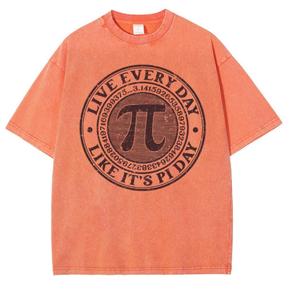 Vintage Pi Day Vintage Distressed T-shirt