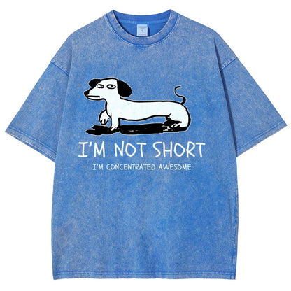 I'm Not Short Vintage Distressed T-shirt