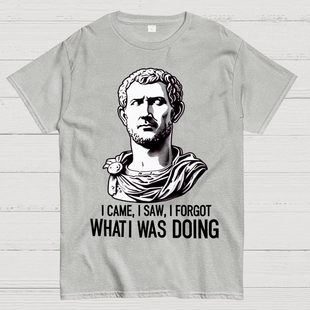 I Came  I saw  I forgot What I was Doing Geek T-Shirt