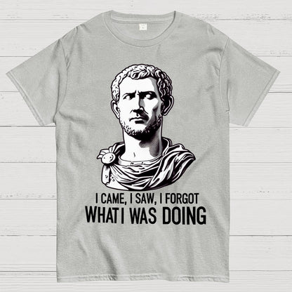 I Came  I saw  I forgot What I was Doing Geek T-Shirt