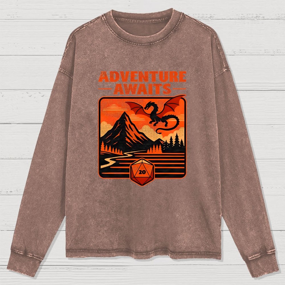 RPG Vintage Adventure Dragon Washed Long Sleeve Tee