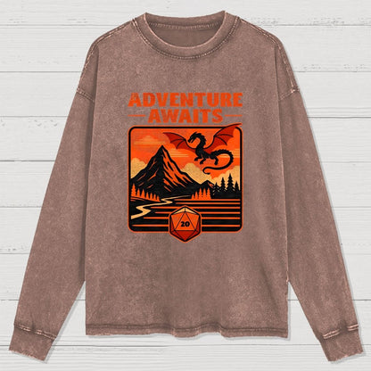 RPG Vintage Adventure Dragon Washed Long Sleeve Tee