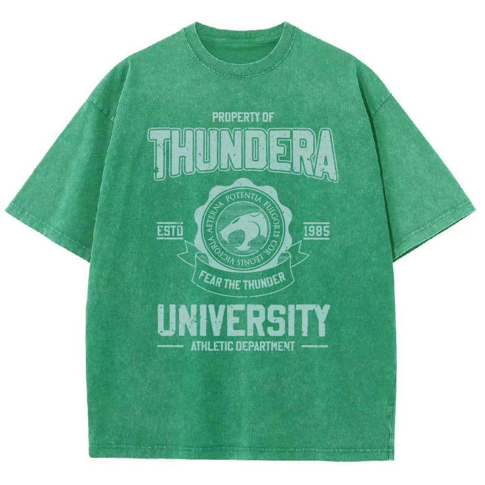 Mystic Valley University Vintage Distressed T-shirt